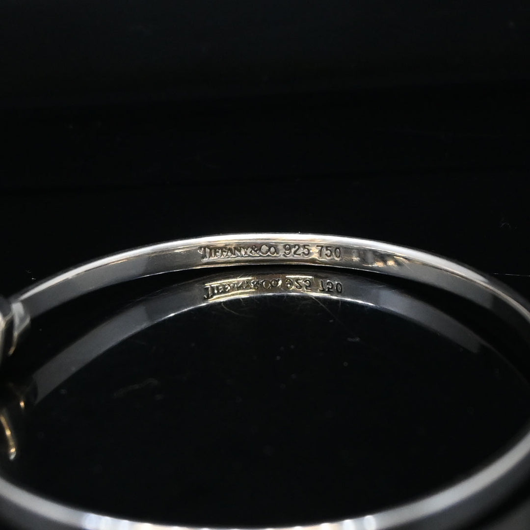 Tiffany & Co. 후크와 아이 뱅글 P43692v