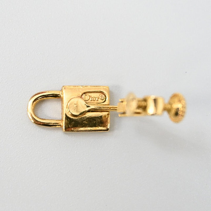 dior earrings ladies