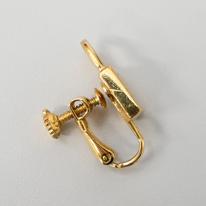 dior earrings ladies