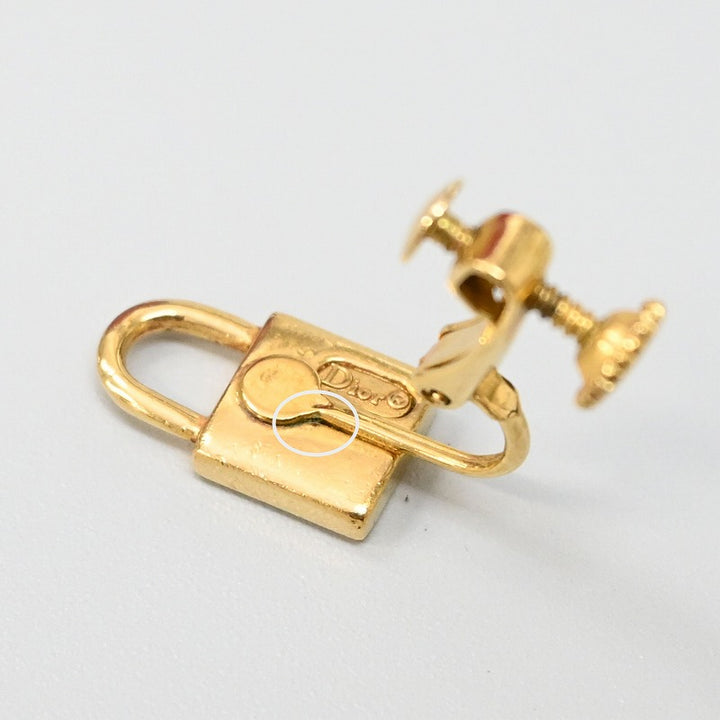 dior earrings ladies