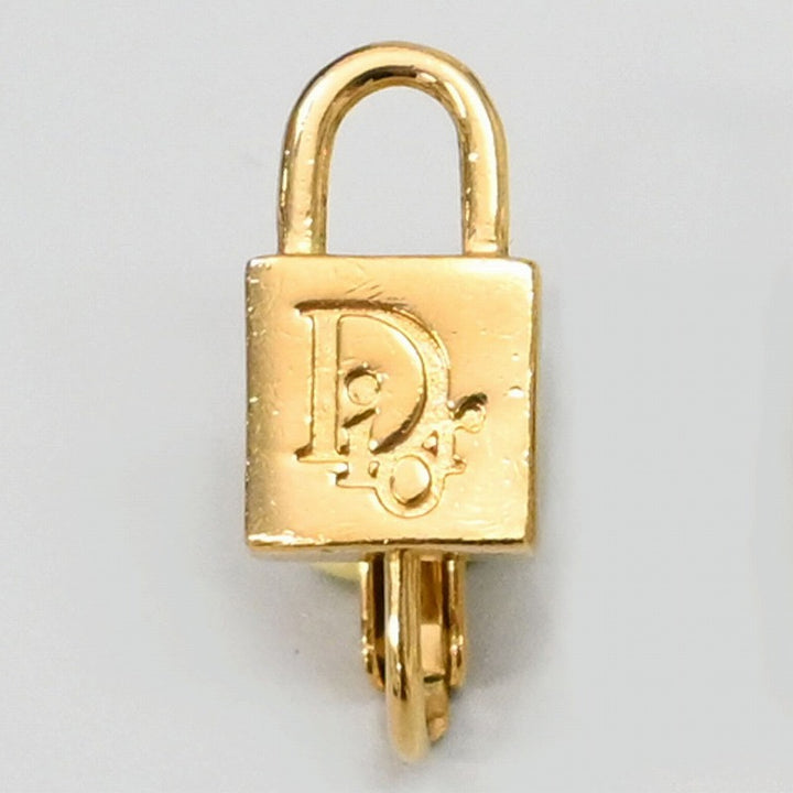 dior earrings ladies