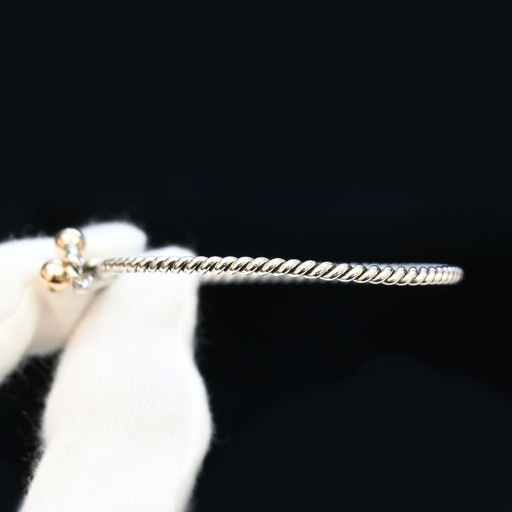 TIFFANY & CO. Hook and Air Twist Bangle P43711V