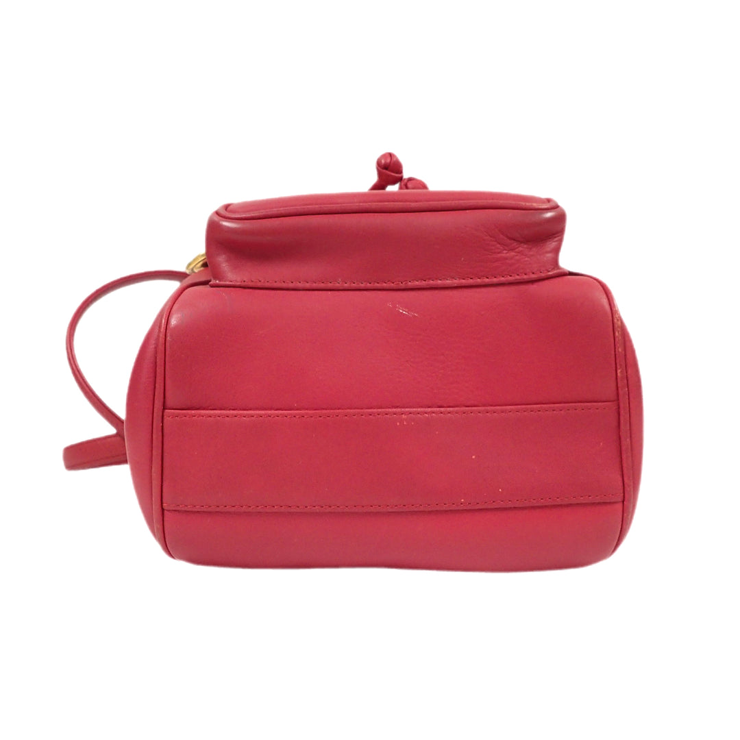 * Christian Dior 크리스찬 디올 백팩